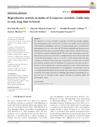 Reproductive Activity in Males of Sceloporus Variabilis: Little Time to Rest, Long Time to Breed