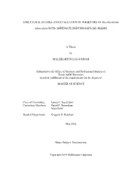 STRUCTURAL STUDIES and EVALUATION of INHIBITORS of Mycobacterium
