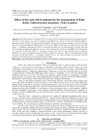 Effect of Hot and Cold Treatments for the Management of Pulse Beetle Callosobruchus Maculatus (Fab) in Pulses