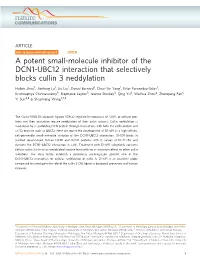 A Potent Small-Molecule Inhibitor of the DCN1-UBC12 Interaction That Selectively Blocks Cullin 3 Neddylation