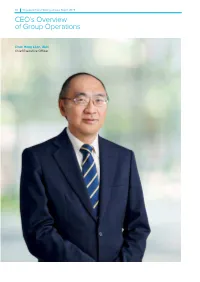 CEO's Overview of Group Operations