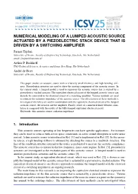 Numerical Modeling of a Lumped Acoustic Source Actuated by A