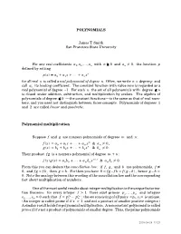 Polynomials.Pdf