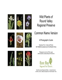 Wild Plants of Round Valley Regional Preserve Common Name Version