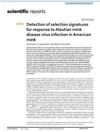 Detection of Selection Signatures for Response to Aleutian Mink Disease Virus Infection in American Mink Karim Karimi1, A