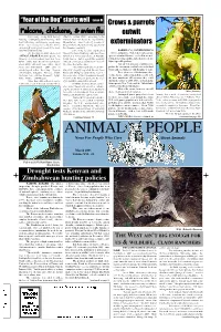 Crows & Parrots Outwit Exterminators