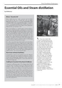 Essential Oils and Steam Distillation