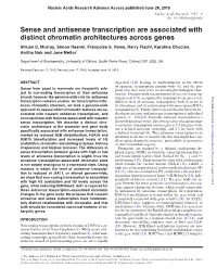 Sense and Antisense Transcription Are Associated with Distinct Chromatin Architectures Across Genes Struan C