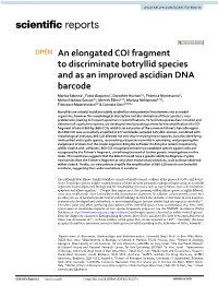 An Elongated COI Fragment to Discriminate Botryllid Species And