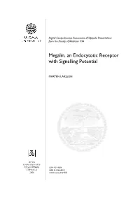 Megalin, an Endocytotic Receptor with Signalling Potential