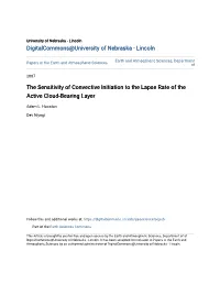 The Sensitivity of Convective Initiation to the Lapse Rate of the Active Cloud-Bearing Layer