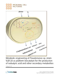 View of Bacterial Expression Systems for Heterologous 74