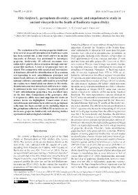 Vitis Vinifera L. Germplasm Diversity: a Genetic and Ampelometric Study in Ancient Vineyards in the South of Basilicata Region (Italy)