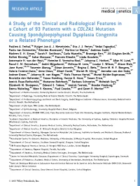 A Study of the Clinical and Radiological Features in a Cohort of 93 Patients with a COL2A1 Mutation Causing Spondyloepiphyseal D