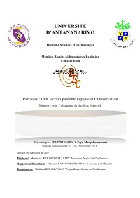 Le Site Subfossilifère De Taolambiby, Problématiques De Gestion Et De Valorisation