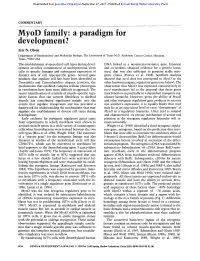 Myod Family: a Paradigm for Development?