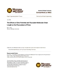 The Effects of Zeta Potential and Flocculant Molecular Chain Length on the Flocculation of Fines