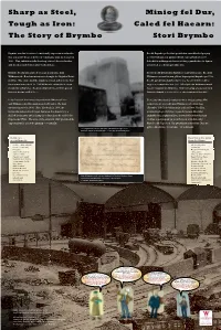 Brymbo Was the Location of a Nationally Important Steelworks That