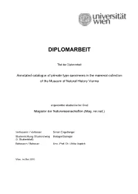 Diplomarbeit