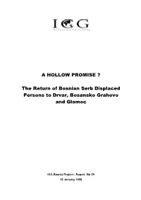 Europe Report, Nr. 29: a Hollow Promise?