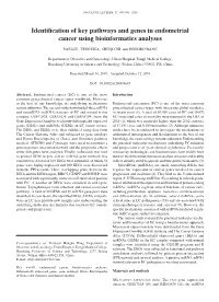 Identification of Key Pathways and Genes in Endometrial Cancer Using Bioinformatics Analyses
