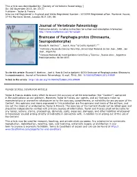 Journal of Vertebrate Paleontology Braincase Of