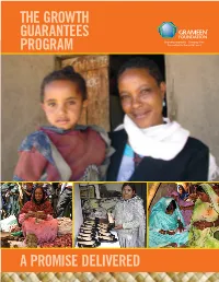 The Growth Guarantees Program a Promise