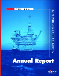 View Annual Report