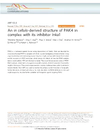 An in Cellulo-Derived Structure of PAK4 in Complex with Its Inhibitor Inka1