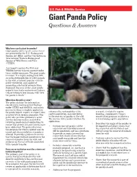 Giant Panda Policy Questions & Answers