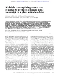 Multiple Trans-Splicing Events Are Required to Produce a Mature Nadl Transcript in a Plant Mitochondrion