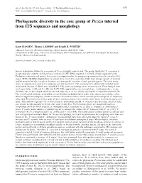 Phylogenetic Diversity in the Core Group of Peziza Inferred from ITS Sequences and Morphology