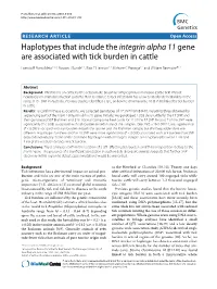 Haplotypes That Include the Integrin Alpha 11 Gene Are Associated with Tick Burden in Cattle BMC Genetics 2010, 11:55