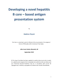 Developing a Novel Hepatitis B Core – Based Antigen Presentation System