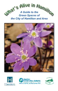 Naturally Hamilton Guide
