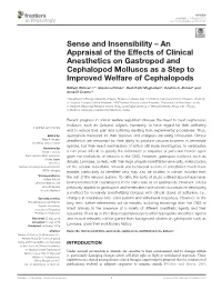An Appraisal of the Effects of Clinical Anesthetics on Gastropod and Cephalopod Molluscs As a Step to Improved Welfare of Cephalopods