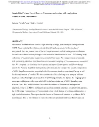 Fungi of the Fortuna Forest Reserve: Taxonomy and Ecology with Emphasis on Ectomycorrhizal Communities