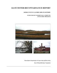 Gloucester Reconnaissance Report