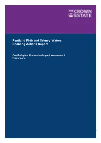 Pentland Firth and Orkney Waters Enabling Actions Report: Ornithological Cumulative Impact Assessment Framework