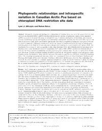 Phylogenetic Relationships and Infraspecific Variation in Canadian Arctic Poa Based on Chloroplast DNA Restriction Site Data