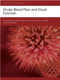 Ocular Blood Flow and Visual Function