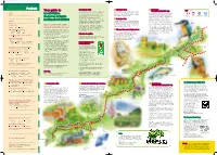 Your Guide to Local Nature Reserves & Parks in Mansfield District