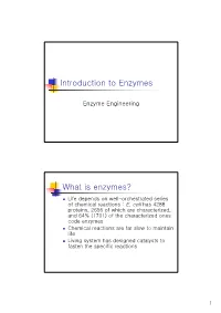 Introduction to Enzymes What Is Enzymes?