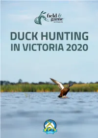 DUCK HUNTING in VICTORIA 2020 Background