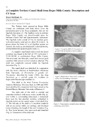 Description and CT Scan Henry Kirkland, Jr
