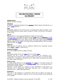 Felinotechnic Terms Glossary
