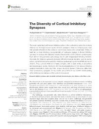 The Diversity of Cortical Inhibitory Synapses