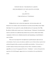 Casteing the Net: the Making of a Lagoon and The