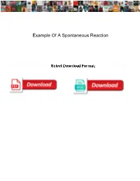 Example of a Spontaneous Reaction