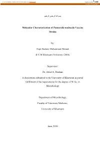 ﺑﺴﻢ اﷲ اﻟﺮﺣﻤﻦ اﻟﺮﺣﻴﻢ Molecular Characterization Of